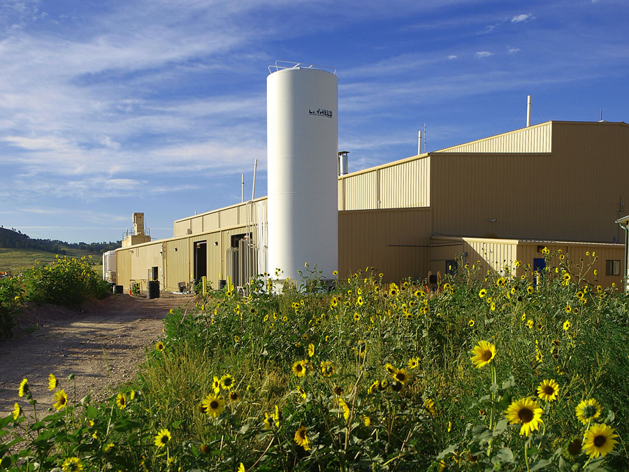 Wildflowers growing behind Crow Butte's central plant. 