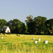 Slide image thumbnail