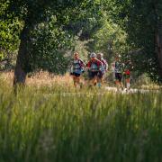 Slide image thumbnail