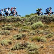 Slide image thumbnail