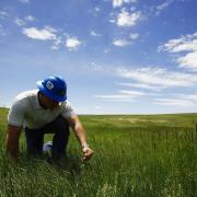 Slide image thumbnail