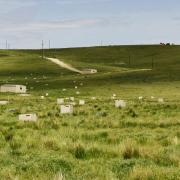 Slide image thumbnail